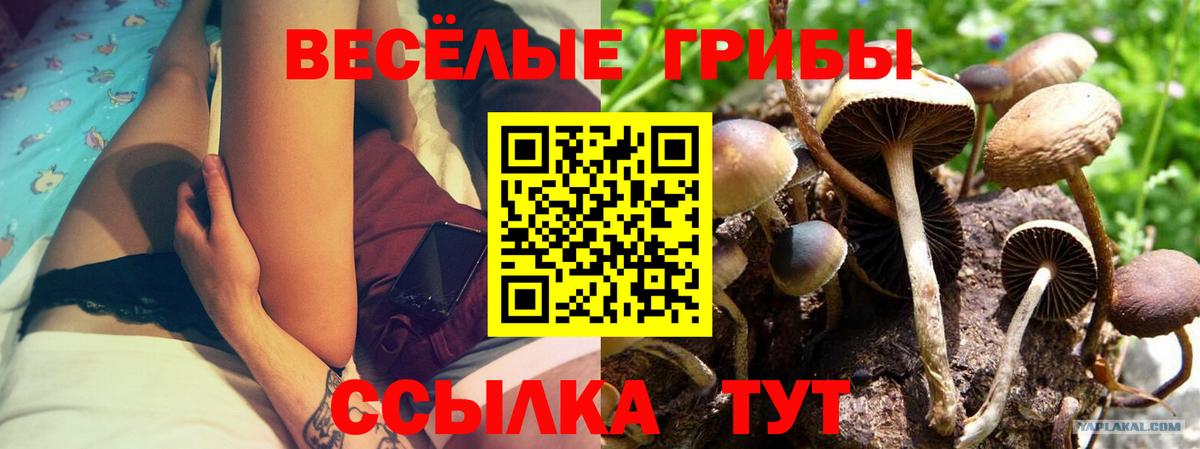 Будённовск  Галлюциногенные грибы Magic Shrooms  Галлюциногенные грибы Cubensis  Вход с VPN 