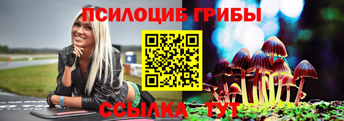 Галлюциногенные грибы Psilocybine cubensis Будённовск